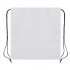 NON WOVEN BAG/ BACK-PACK