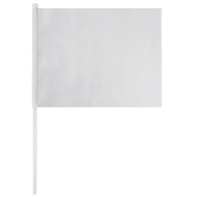 
                                                PARTY FLAG 20x16cm
                                                