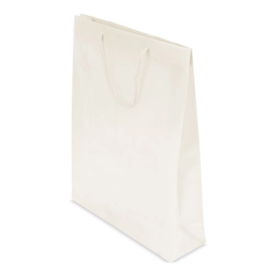 
                                                PVC GIFT BAG
                                                