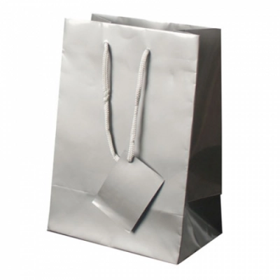 
                                            PLASTIFIED GIFT BAG
                                            