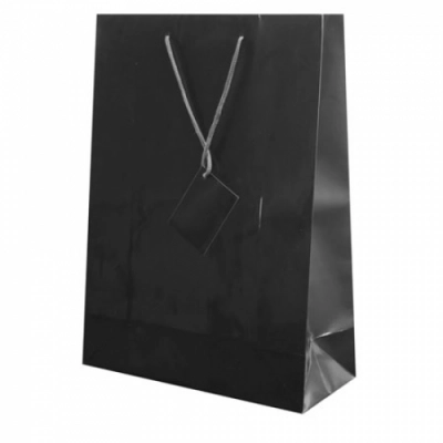 
                                            PLASTIFIED GIFT BAG
                                            