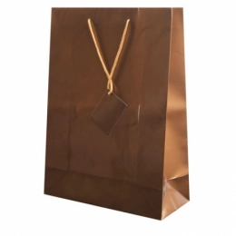 PLASTIFIED GIFT BAG