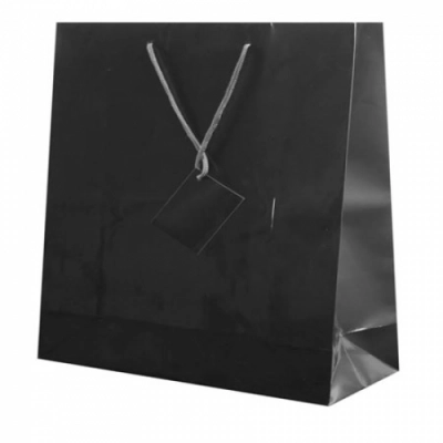 
                                                PLASTIFIED GIFT BAG
                                                