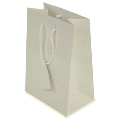 
                                                PLASTIFIED GIFT BAG
                                                