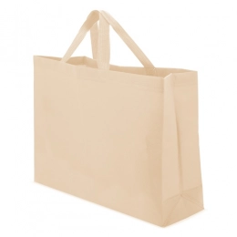 NON WOVEN  BAG 