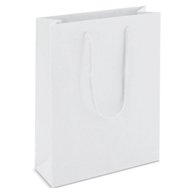 
                                                CARDBOARD BAG WITH LOOPSE HANDLE 