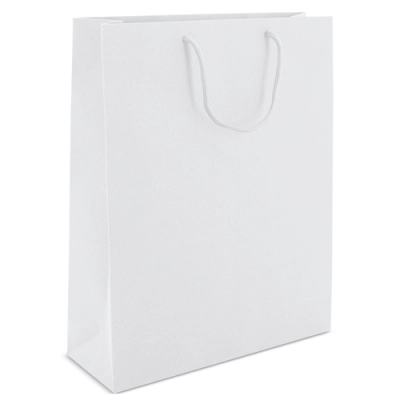 
                                                CARDBOARD BAG WITH LOOPSE HANDLE
                                                