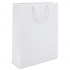 CARDBOARD BAG WITH LOOPSE HANDLE