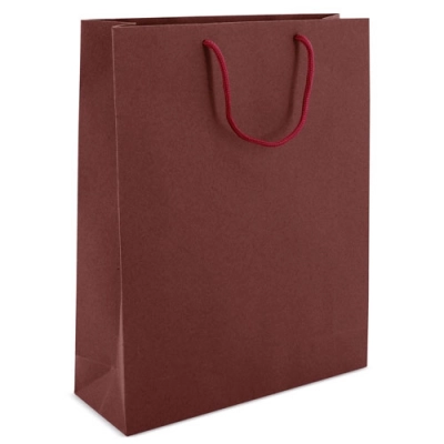 
                                                CARDBOARD BAG WITH LOOPSE HANDLE ALEXIA 
                                                
