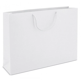 CARDBOARD BAG WITH LOOPSE HANDLE