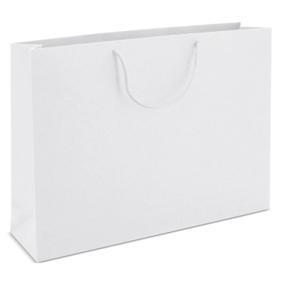
                                                CARDBOARD BAG WITH LOOPSE HANDLE
                                                
