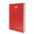 METALLIC DIARY WITH RINGS “RAKI”