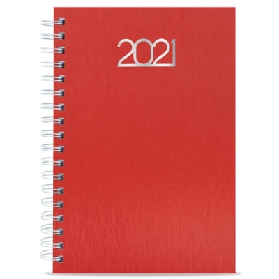 
                                                METALLIC DIARY WITH RINGS “NICK”
                                                