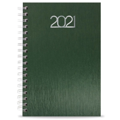 
                                                METALLIC DIARY WITH RINGS “NICK”
                                                