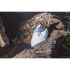 Герметичная сумка DRYBAG 5 л