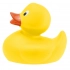 LittleDuck bath toy