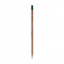 Заточенный карандаш Sproutworld