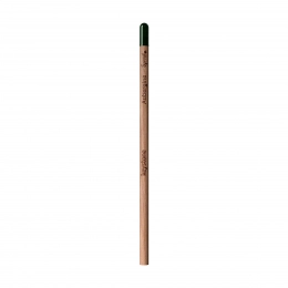 Карандаш Sproutworld без заточки