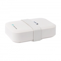Amuse Classic Lunchbox Medium