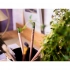 Заточенный карандаш SPROUTWORLD