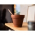 Карандаш Sproutworld без заточки