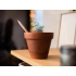 Набор SPROUTWORLD: не заточенный карандаш и карточка-вкладыш