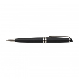 Ручка WATERMAN EXPERT | нержавеющая сталь