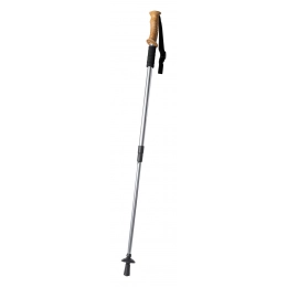 nordic walking stick