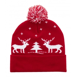 Christmas winter hat