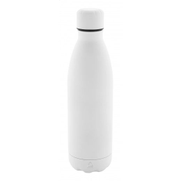 recycled stainless steel bottle