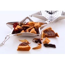 Christmas tea infuser, star