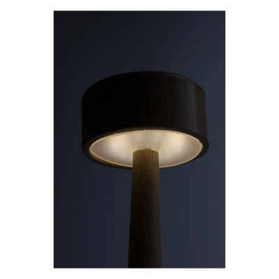 
                                                bamboo table lamp
                                                