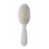 hairbrush