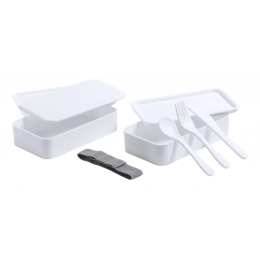 Anti-bacterial lunch box