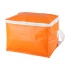 cooler bag