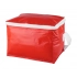 cooler bag