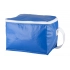 cooler bag