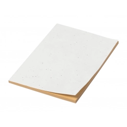 Seed paper notebook