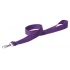 lanyard