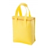 cooler bag