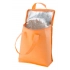 cooler bag