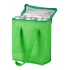 cooler bag