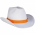 BALDWIN hat 