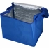 MESA cooler bag