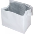 MESA cooler bag