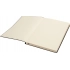 Daytona Beach Notebook