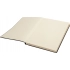 Daytona Beach Notebook