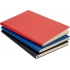 Daytona Beach Notebook