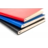 Daytona Beach Notebook