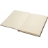 Daytona Beach Notebook